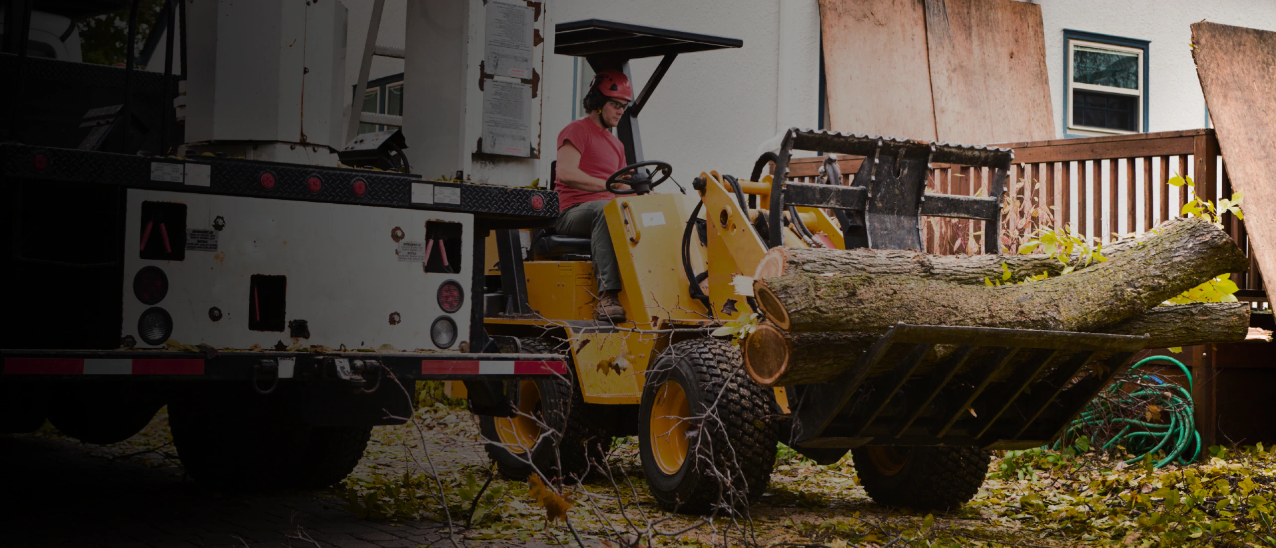 Big Guys Tree Service hero 1