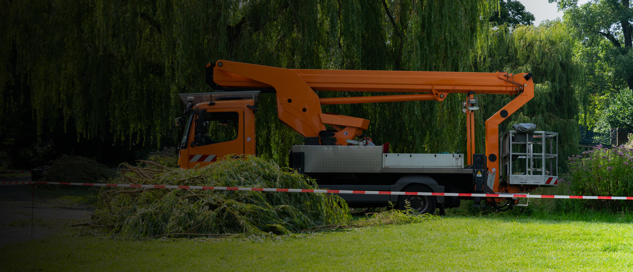 Big Guys Tree Service hero 2