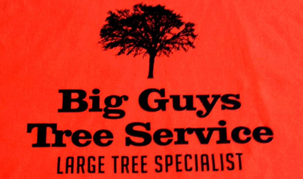 Big Guys Tree Service1