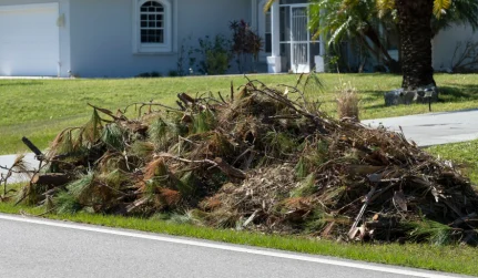 Storm Cleanup