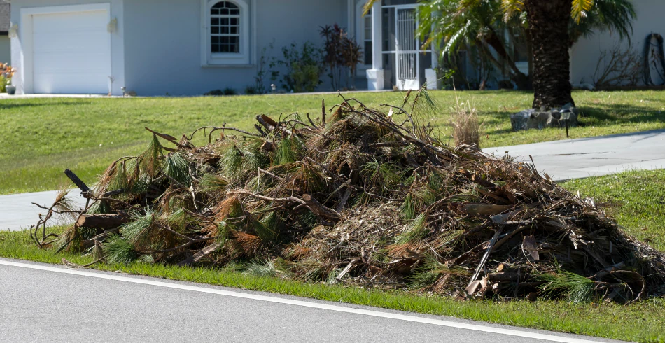 Storm Cleanup